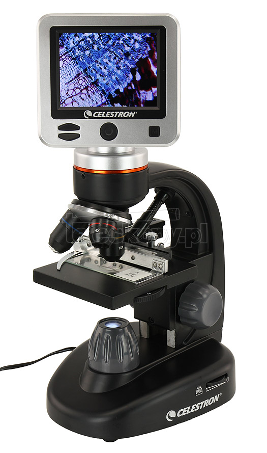 Affordable Microscopy in Johannesburg